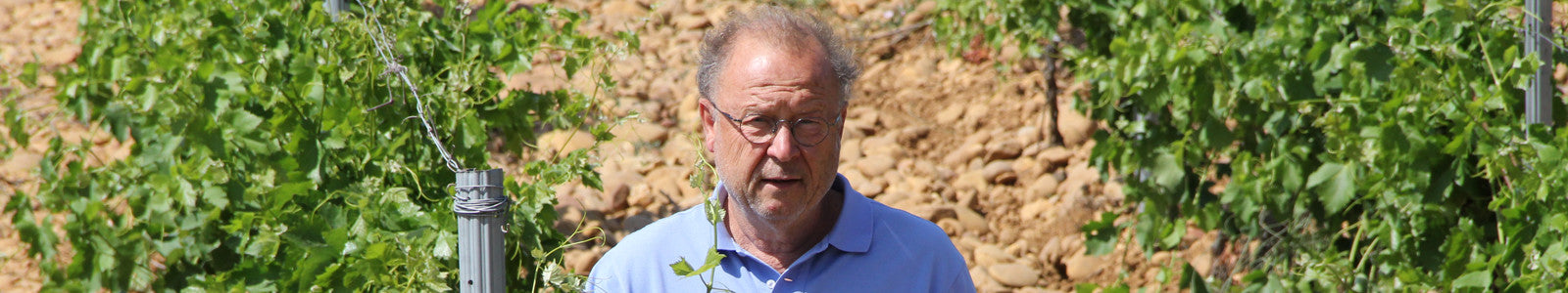 Clos des Saumanes