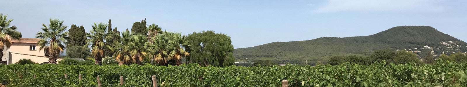 Clos Cibonne