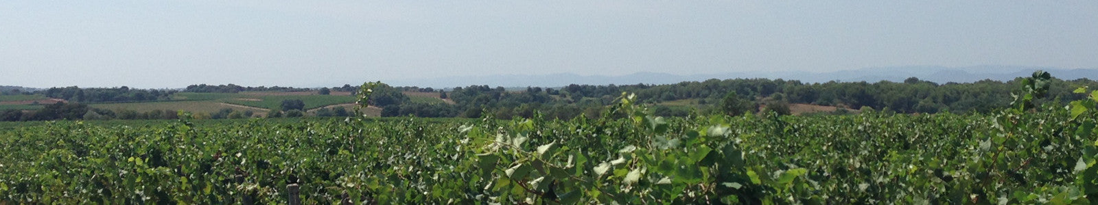 Domaine des Creisses