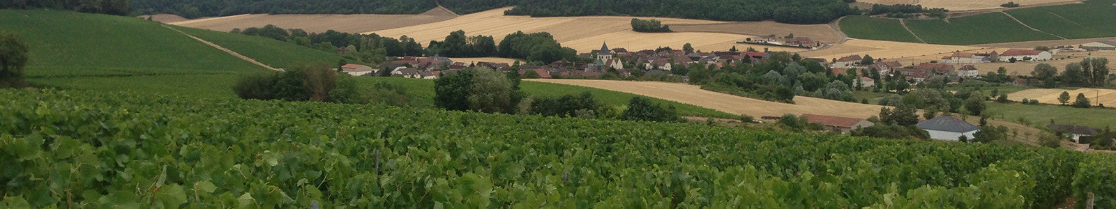 Champagne Germain Pidansat
