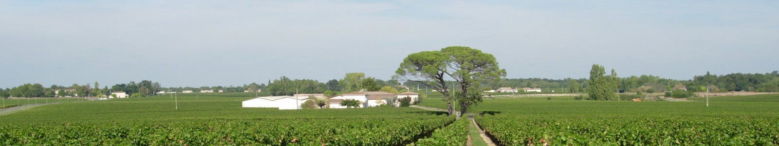 Château Laroche-Joubert