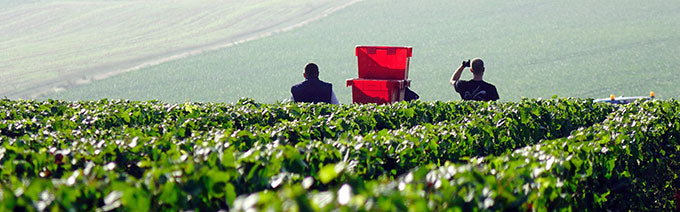 Champagne Vincent Brochet